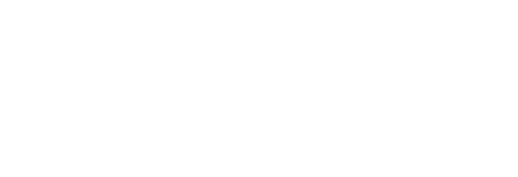 logo Brummell